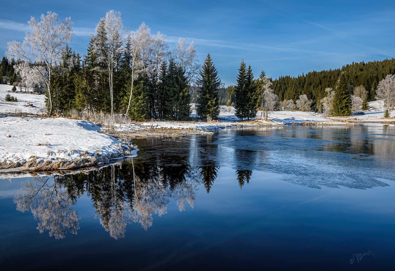 šumava
