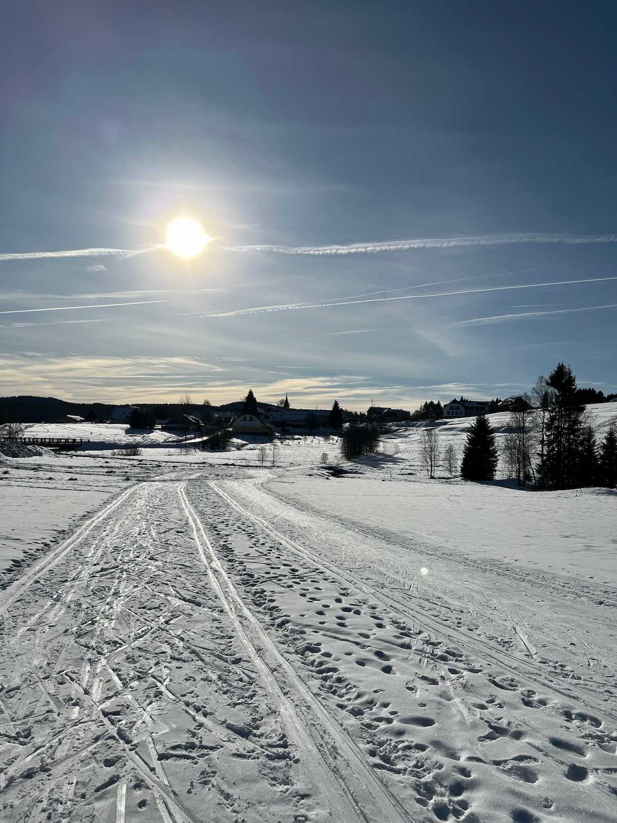 šumava